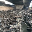 Sở Xây dựng họp đánh giá mức độ ảnh hưởng kết cấu cầu Vĩnh Tuy sau vụ cháy trăm xe máy