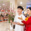 Vietjet nhận vận chuyển mai, đào dịp Tết Bính Ngọ 2026: Giá 450.000 đồng/bó