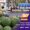 60 Giây ngày 30/1/2026 | TP. Hồ Chí Minh: Đảm bảo vỉa hè thông thoáng cho người đi bộ khi lắp đặt tủ đổi pin