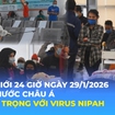 Tin Thế giới 24 Giờ ngày 29/1/2026 | Các nước Châu Á thận trọng với virus Nipah