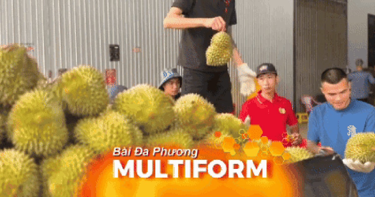 Kết nối thị trường cho sầu riêng Việt Nam - Đài Phát thanh và Truyền hình TP.HCM
