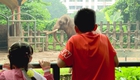 Thảo Cầm Viên Sài Gòn: Hơn một thế kỷ gieo mầm yêu thiên nhiên cho thế hệ trẻ