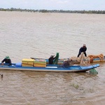 Lũ trên sông Cửu Long đạt đỉnh, nguy cơ ngập lụt vùng trũng thấp vẫn cao