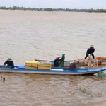 Tin lũ trên sông Cửu Long
