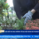 Sôi nổi thi đua chào mừng Đại hội Đảng bộ TP. Hồ Chí Minh
