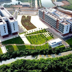 Bắt đầu sáp nhập các trường công lập