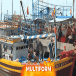 TP. Hồ Chí Minh: Tăng cường giám sát, đẩy mạnh tuyên truyền quyết liệt chống IUU