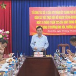 Thành ủy giám sát công tác lãnh đạo chỉ đạo và tổ chức mô hình chính quyền 2 cấp