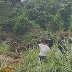 Tìm thấy nạn nhân mất tích trong vụ lũ quét tại xã Bàu Bàng