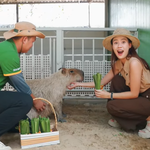 Việt Nam đi là ghiền - Mùa 4 - Tập 15: Một ngày làm bạn với thiên nhiên