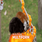 Anh: Tận hưởng lễ hội Halloween sớm ở vườn thú Whipsnade