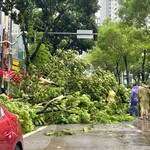 Hà Nội khẩn trương triển khai phương án ứng phó bão số 11