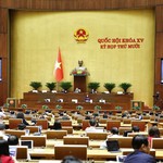 Ngày 11/11, Quốc hội tiếp tục thảo luận các dự án Luật