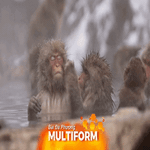 Khỉ tuyết - nguồn cơn phiền toái ở Nagano, Nhật Bản