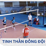 Góc nhỏ kỳ diệu: Khám phá bộ môn bóng chuyền