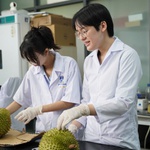 Cùng HTV Hành động xanh 2025: Người trẻ và ước mơ "xanh"