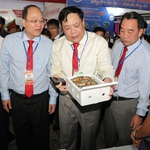 Ngày hội Cua Cà Mau 2025: Tôn vinh sản vật đất Mũi, mở rộng không gian phát triển