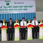 Hơn 70.000 tấn “Gạo Việt xanh, phát thải thấp” được cấp nhãn hiệu: Bước tiến mới của gạo Việt