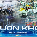 Vươn Khơi - Ngày 18/11/2025 | Ủng hộ chủ trương hỗ trợ 100% mức đóng bảo hiểm y tế cho người cao tuổi và học sinh