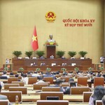 Siết chặt bán chéo bảo hiểm qua ngân hàng: Đại biểu Quốc hội yêu cầu tăng giám sát