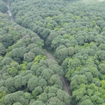 Những cung đường Marathon tuyệt đẹp ở phía Đông TP. Hồ Chí Minh