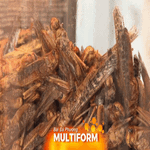 Đức: Quán cà phê phục vụ món salad... côn trùng!