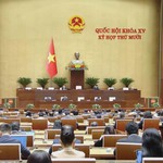 Quốc hội thảo luận dự thảo Luật Đầu tư sửa đổi: Nhiều ý kiến đề xuất cấm các chất gây nghiện và bóng cười