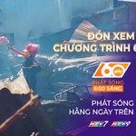60 Giây ngày 27/11/2025 I TP. Hồ Chí Minh: Chủ nuôi chó mèo bắt buộc phải khai báo với chính quyền