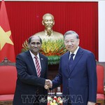 Tổng Bí thư Tô Lâm tiếp Đại sứ Singapore tại Việt Nam