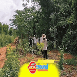 NewZround: Ngày Quốc tế phòng chống khai thác môi trường trong chiến tranh và xung đột vũ trang