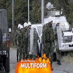 Báo động tình trạng gấu tấn công người ở Nhật Bản