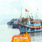 TP. Hồ Chí Minh tăng cường kiểm tra hoạt động khai thác, nuôi trồng thủy hải sản