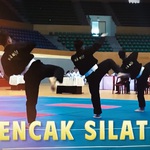 Khởi động Liên hoan Võ thuật Quốc tế TP. Hồ Chí Minh 2025 