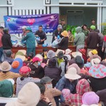 Khánh Hòa: Người dân vùng lũ tích cực vượt qua khó khăn