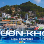 Vươn khơi - Ngày 10/12/2025 | Cầu đường vượt biển Cần Giờ - Vũng Tàu sẽ khởi công trong năm 2026