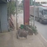 Hà Nội: Bắt giữ tài xế đẩy CSGT vào đầu xe tải