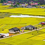 Mức thu tiền sử dụng đất khi chuyển đất nông nghiệp sang đất ở từ 1/1/2026