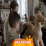 Nga: Bộ sưu tập hàng trăm con ngựa bập bềnh