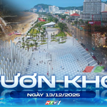 Vươn khơi - Ngày 13/12/2025 | Vũng Tàu sẽ diễn ra nhiều hoạt động chào năm mới 2026