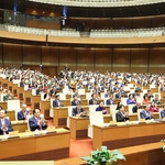 Từ ngày 15/12, TP. Hồ Chí Minh tiếp nhận hồ sơ ứng cử đại biểu Quốc hội và HĐND