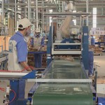 Nhiều hoạt động chăm lo đoàn viên, người lao động đã được công đoàn các cấp triển khai trong năm 2025