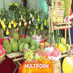 “Độc lạ” Phiên chợ nông sản vùng miền - Bình Đông: Vú sữa vị xoài, na hương sầu riêng