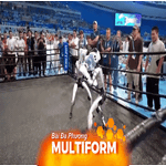 Robot hình người phát triển mạnh trong năm 2025