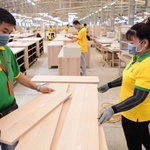 Ngân hàng UOB dự báo GDP năm 2025 của Việt Nam đạt 7,7%