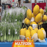 TP. Hồ Chí Minh đẩy mạnh đưa nông sản sạch đến tay người tiêu dùng