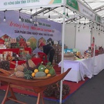 Đồng bằng sông Cửu Long tổ chức Hội chợ nông nghiệp, nông sản xanh năm 2025