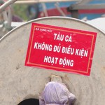 Xã Long Hải rà soát tàu cá không đủ điều kiện đánh bắt