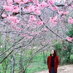 Điện Biên: 3 điểm check-in cực "hot" dịp năm mới