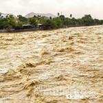 Khánh Hòa: Một số địa phương vùng trũng thấp tiến hành di dời dân