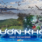 Vươn khơi - Ngày 4/12/2025 | Vườn Quốc gia Côn Đảo: Điểm sáng về bảo tồn thiên nhiên